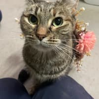 Photo of Delilah 