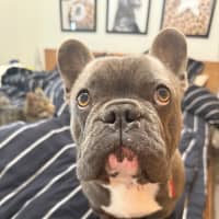 Photo of Hugo