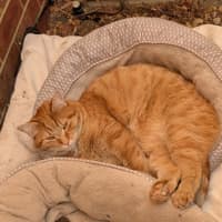 Photo of Jasper