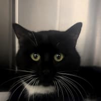 Photo of Clemmy