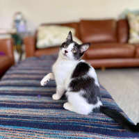 Photo of Marra   Meet Me At Vets On Parker