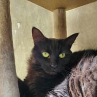 Photo of 🍓 Miriam 5923 🍓