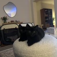 Photo of Junebug