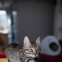 Photo of Stacys Brother