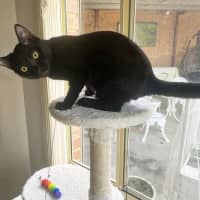 Photo of Bort 🖤