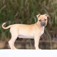 Photo of Winnie