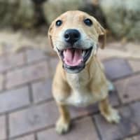 Photo of Statler