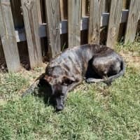Photo of Maisey