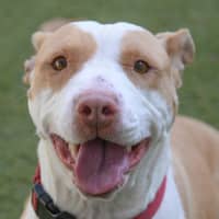 Photo of Darla