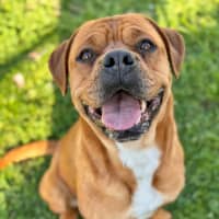 Photo of Nova
