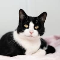 Photo of Kiki