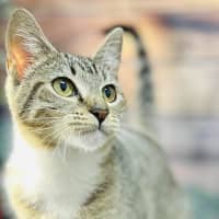 Photo of Tilly   Located In Preston 