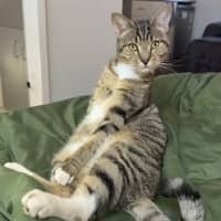 Photo of Sally