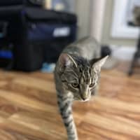 Photo of Finn