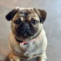 Photo of Betty