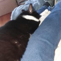 Photo of Miguel / Sarah