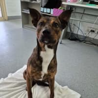 Photo of Toohey! 🍻