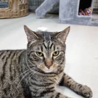 Photo of Lucifer