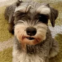 Photo of Oscar