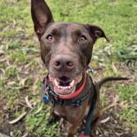 Photo of Apollo