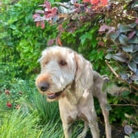 Photo of Marshall Uffelman