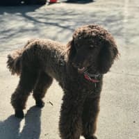 Photo of Xander