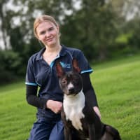 Photo of Darcy