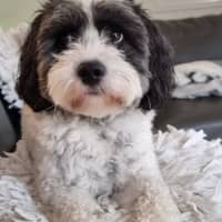 Photo of Wally
