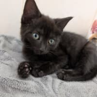 Photo of Zoe
