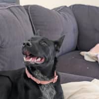 Photo of Felice (Astrid)