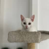 Photo of Candy