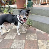 Photo of Bella Valenti