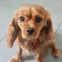 Photo of Lovely Lala 