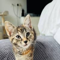 Photo of Amelie