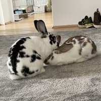 Photo of Morris And Moyreen