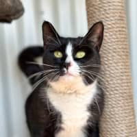 Photo of Luna