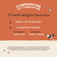 Photo of Rescue Hen Adoption Day   Waverley & Swan Bay, Tas
