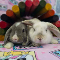 Photo of Cloud / Misty