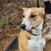 Photo of 🌼 Daisy 6367 🌼