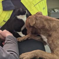 Photo of Meggie 💜