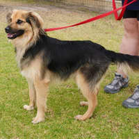 Photo of Huxley