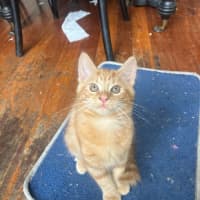 Photo of Artie