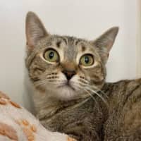 Photo of Sienna