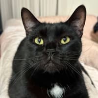 Photo of Taz 