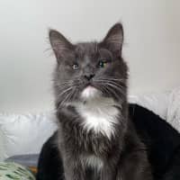 Photo of Arlo