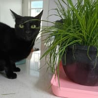 Photo of Sabrina 