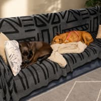 Photo of Allie & Skye