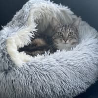 Photo of Sally Junior