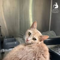 Photo of Happy Heidi