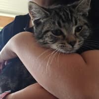 Photo of Leo